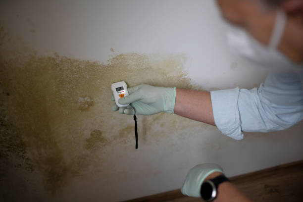 Best Water Damage Restoration  in Lyons, GA